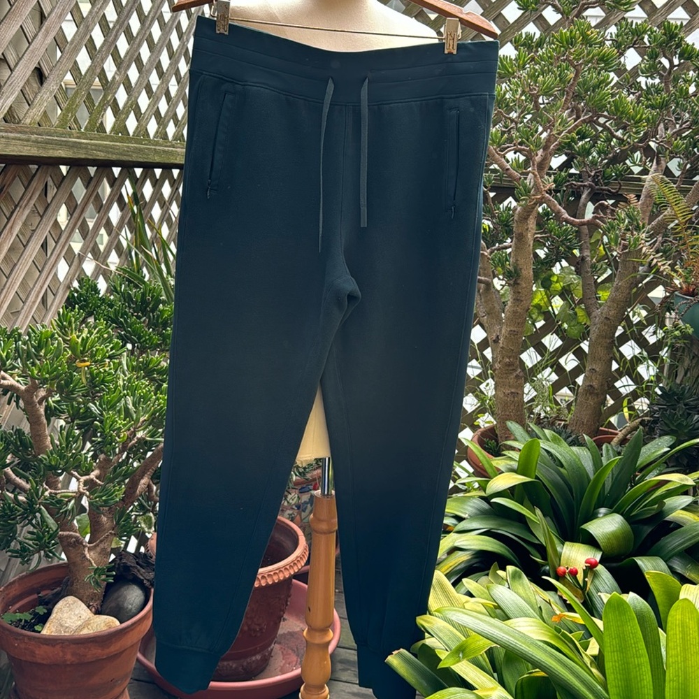 Lululemon fleece lined jogger sweatpants. Drawstring waist Size 10. EUC
